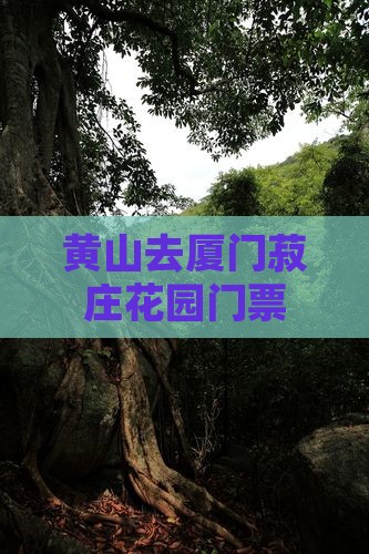 黄山去厦门菽庄花园门票