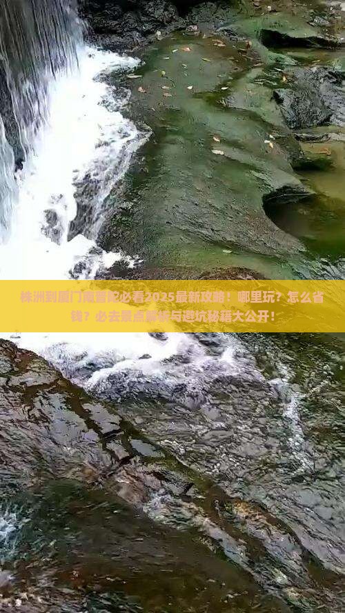 株洲到厦门南普陀哪里玩