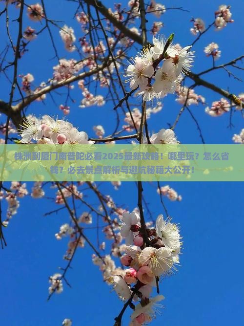 株洲到厦门南普陀哪里玩