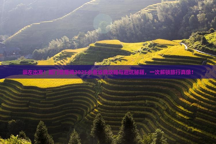崇左去厦门曾厝埯旅行社