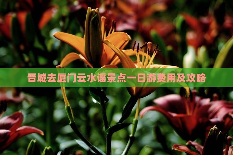 晋城去厦门云水谣景点