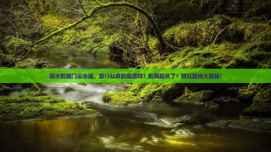 丽水到厦门云水谣旅行社