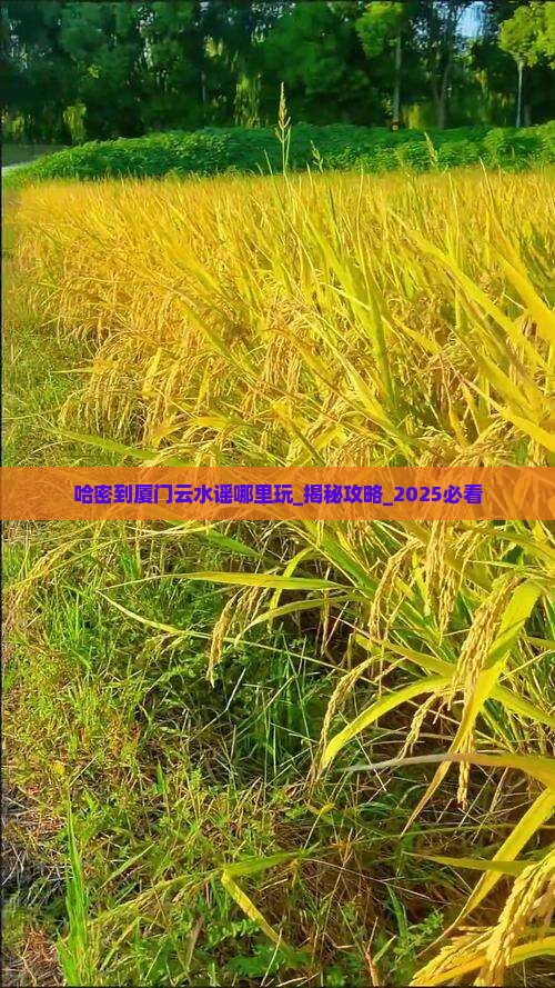 哈密到厦门云水谣哪里玩