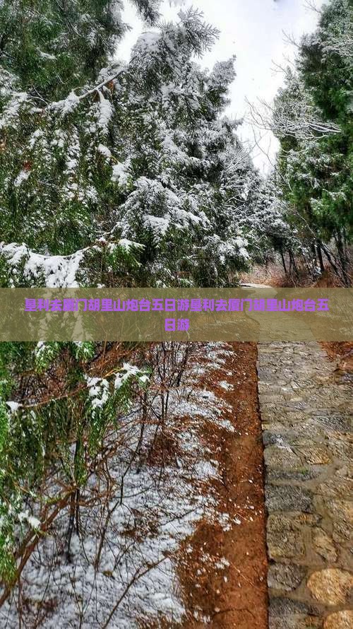 垦利去厦门胡里山炮台五日游
