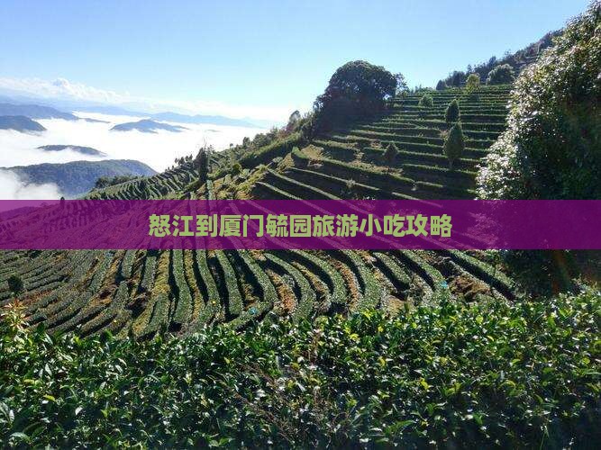 怒江到厦门毓园旅游小吃