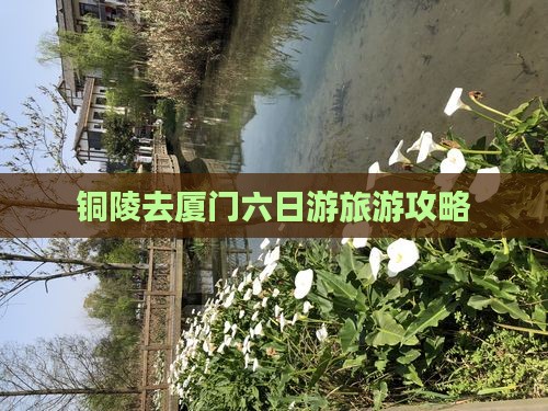 铜陵去厦门六日游