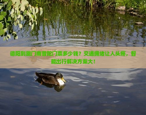德阳到厦门南普陀门票