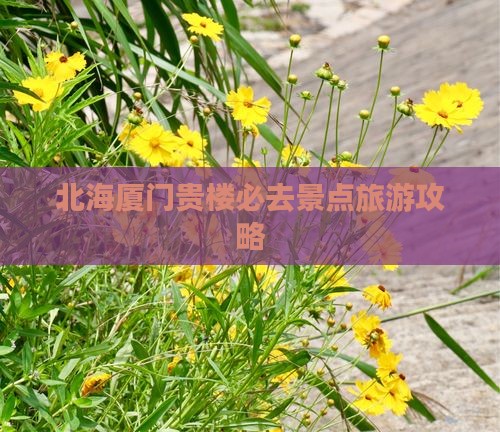 北海去厦门和贵楼必去地