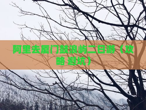 阿里去厦门鼓浪屿二日游