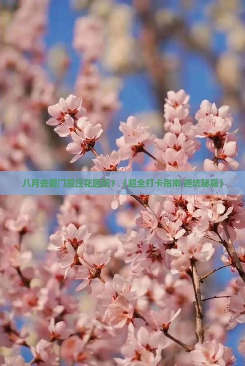 八月到厦门菽庄花园景点