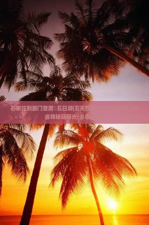 石家庄到厦门曾厝埯五日游