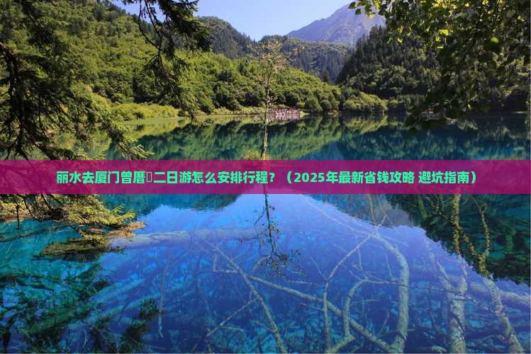 丽水去厦门曾厝埯二日游