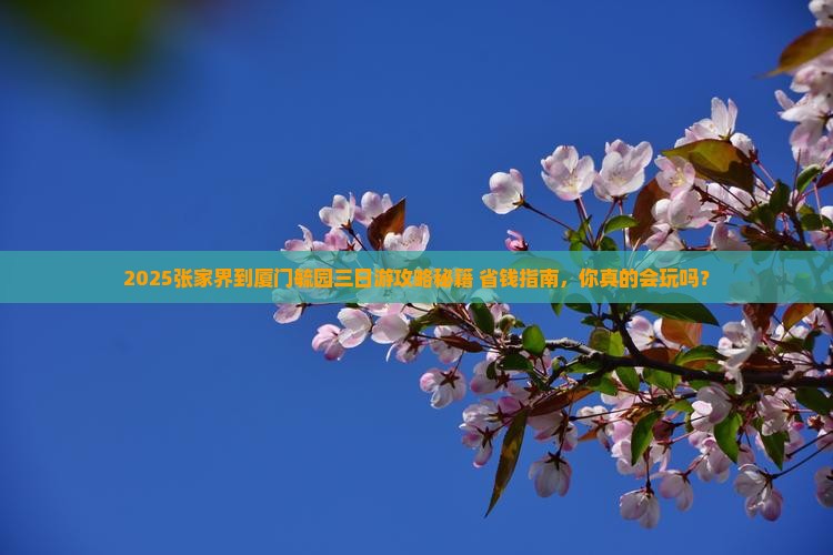 张家界到厦门毓园三日游