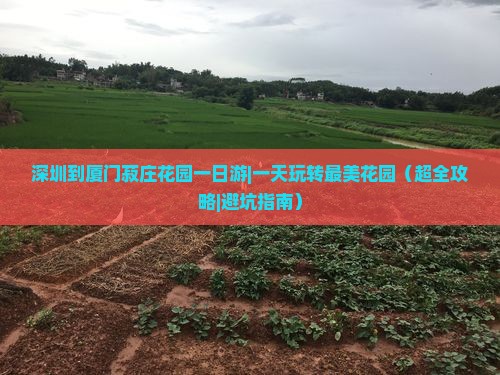 深圳到厦门菽庄花园一日