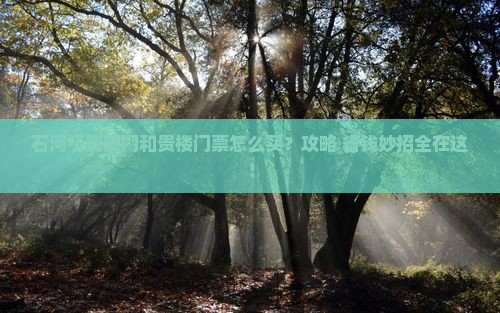 石河子到厦门和贵楼门票