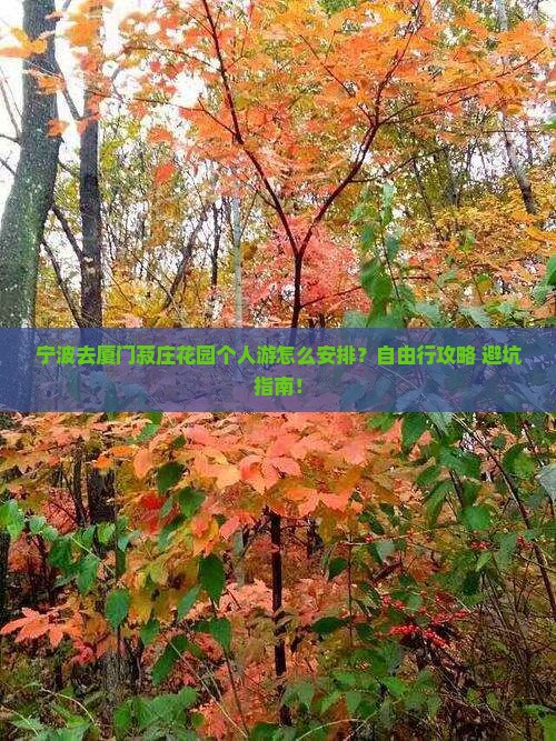 宁波去厦门菽庄花园个人游