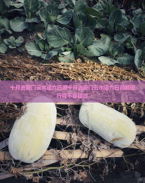 十月去厦门云水谣六日游 十月去厦门云水谣六日游