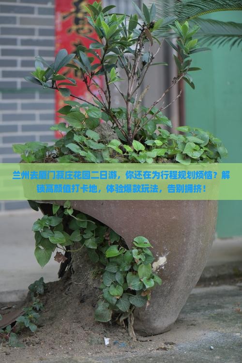 兰州去厦门菽庄花园二日游