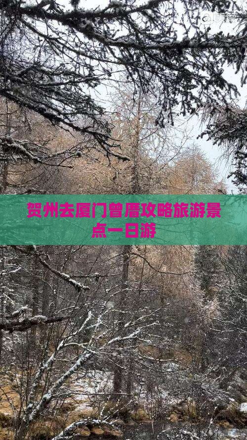 贺州去厦门曾厝埯一日