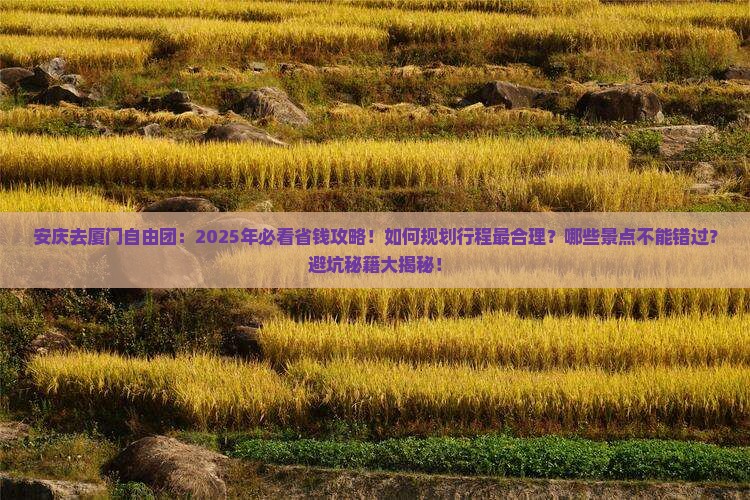 安庆去厦门自由团
