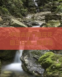 伊犁去厦门菽庄花园三日游