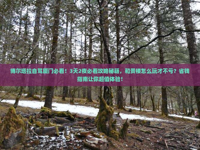 博尔塔拉到厦门和贵楼景点