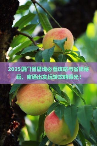 南通去厦门曾厝埯哪里玩