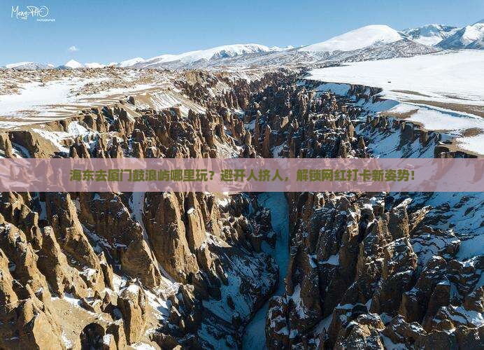 海东去厦门鼓浪屿哪里玩