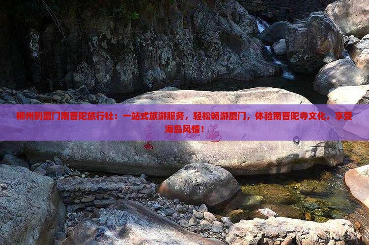 郴州到厦门南普陀旅行社