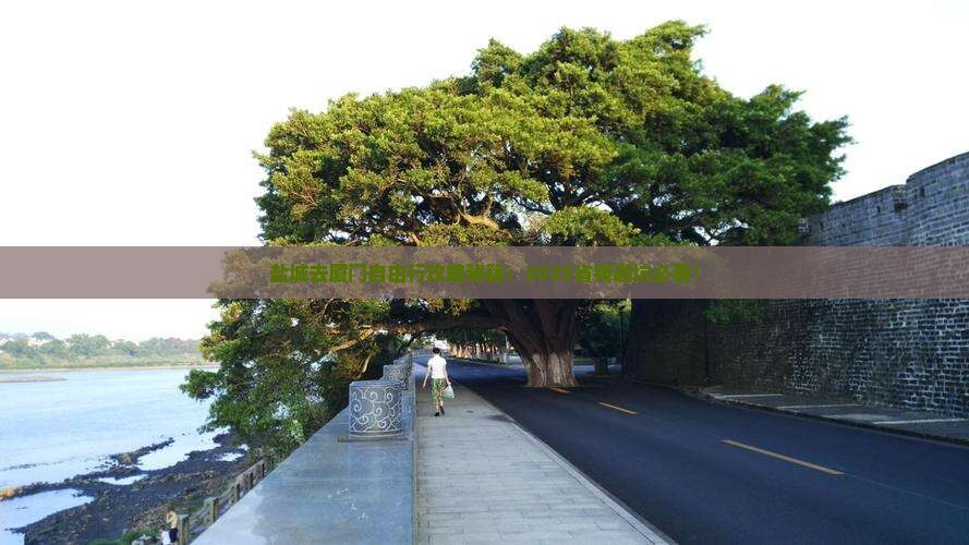 盐城去厦门自由行