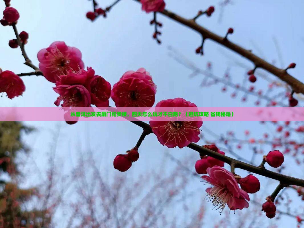普洱去厦门和贵楼四日游