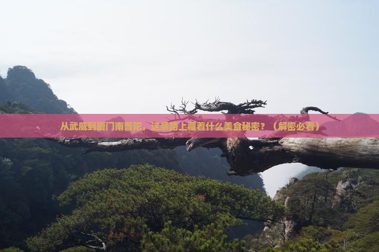 武威到厦门南普陀旅游小吃