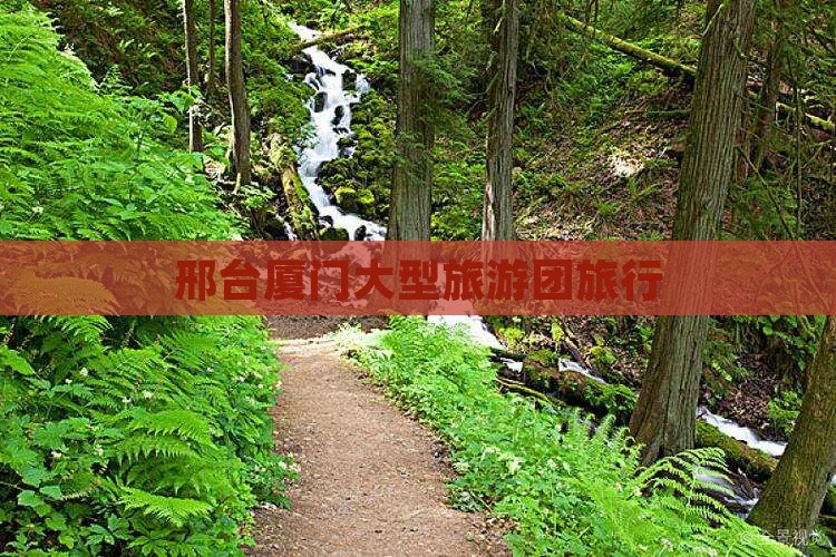 邢台到厦门大型旅游团