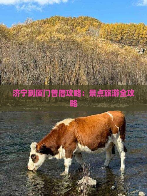 济宁到厦门曾厝埯攻略