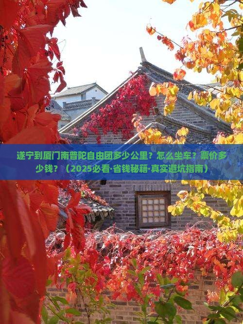 遂宁到厦门南普陀自由团