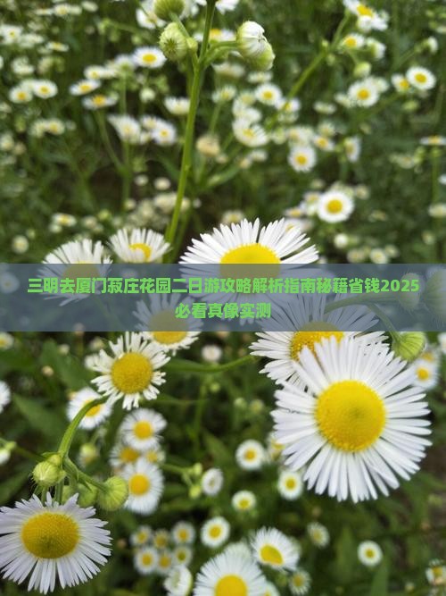 三明去厦门菽庄花园二日游 三明去厦门菽庄花园二日游