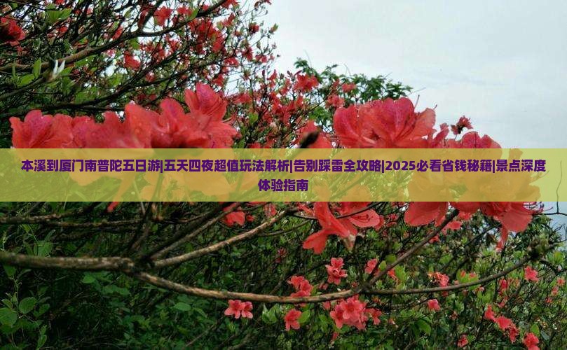 本溪到厦门南普陀五日游