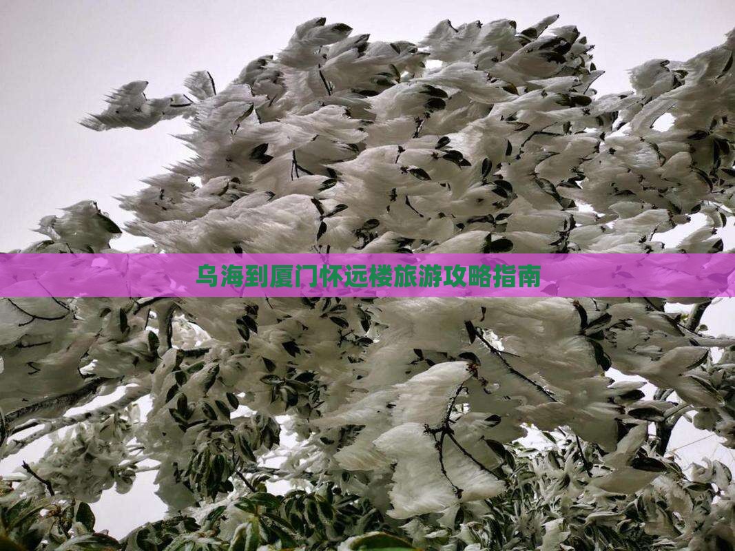 乌海到厦门怀远楼攻略
