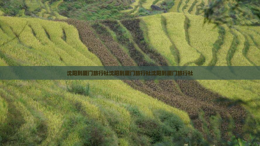 沈阳到厦门旅行社