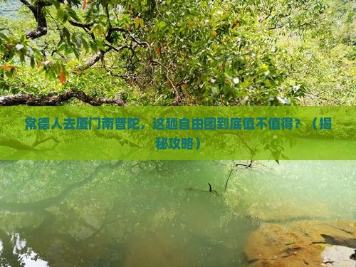 常德去厦门南普陀自由团