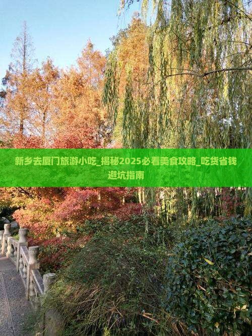 新乡去厦门旅游小吃