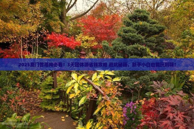 长葛去厦门曾厝埯团体旅游
