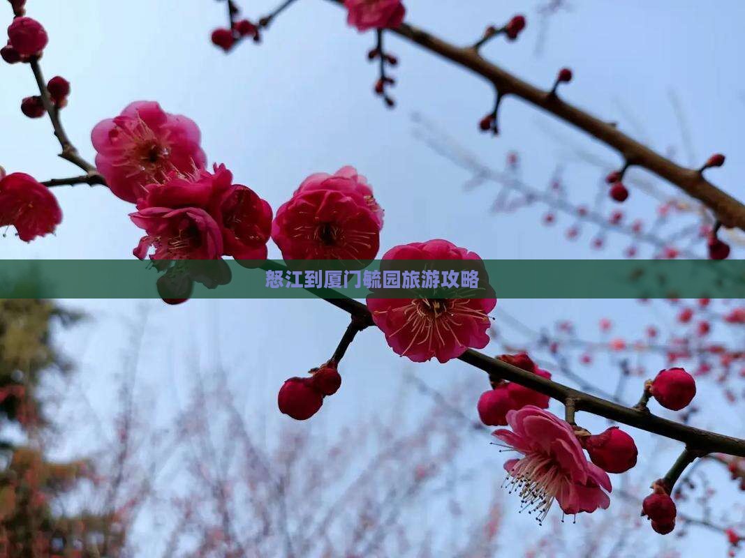 怒江到厦门毓园攻略