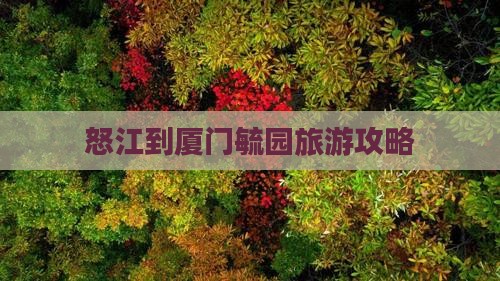怒江到厦门毓园攻略