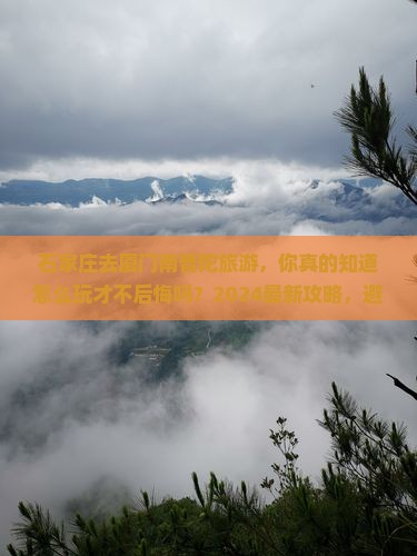石家庄去厦门南普陀旅游
