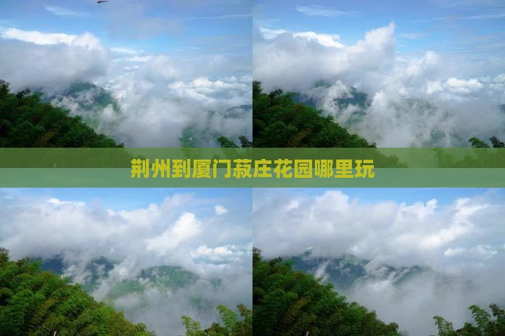 荆州到厦门菽庄花园哪里玩