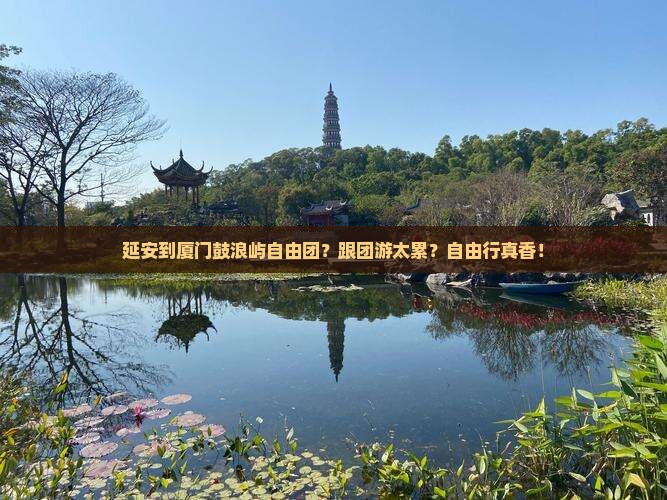 延安到厦门鼓浪屿自由团