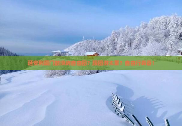 延安到厦门鼓浪屿自由团
