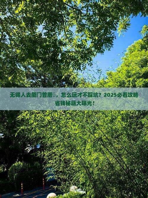 无锡去厦门曾厝埯旅行社