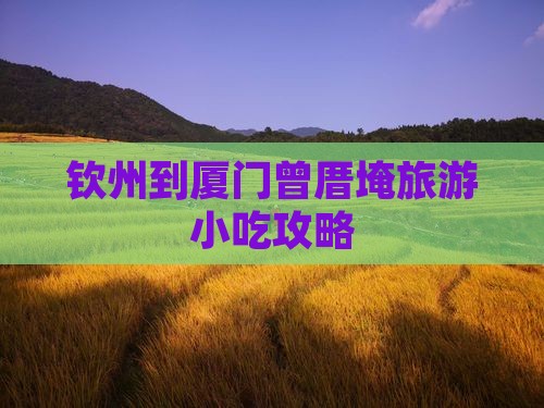 钦州到厦门曾厝埯旅游小吃